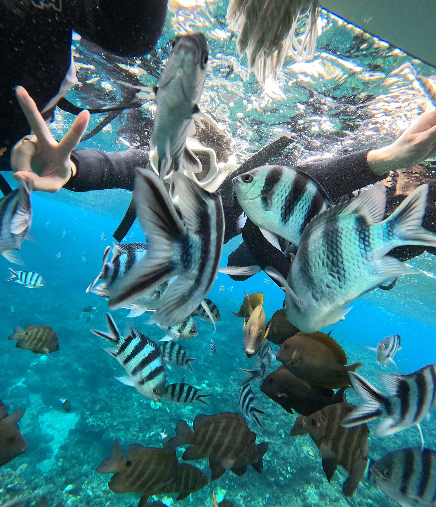 SNORKELING 沖繩浮潛 - 讀谷伊南 / 包括船費 - DayDayGoodDays