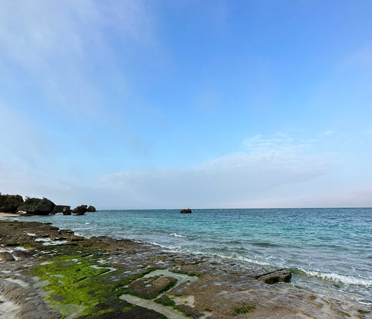 2026 沖繩潛水全攻略：與海共生的季節指南