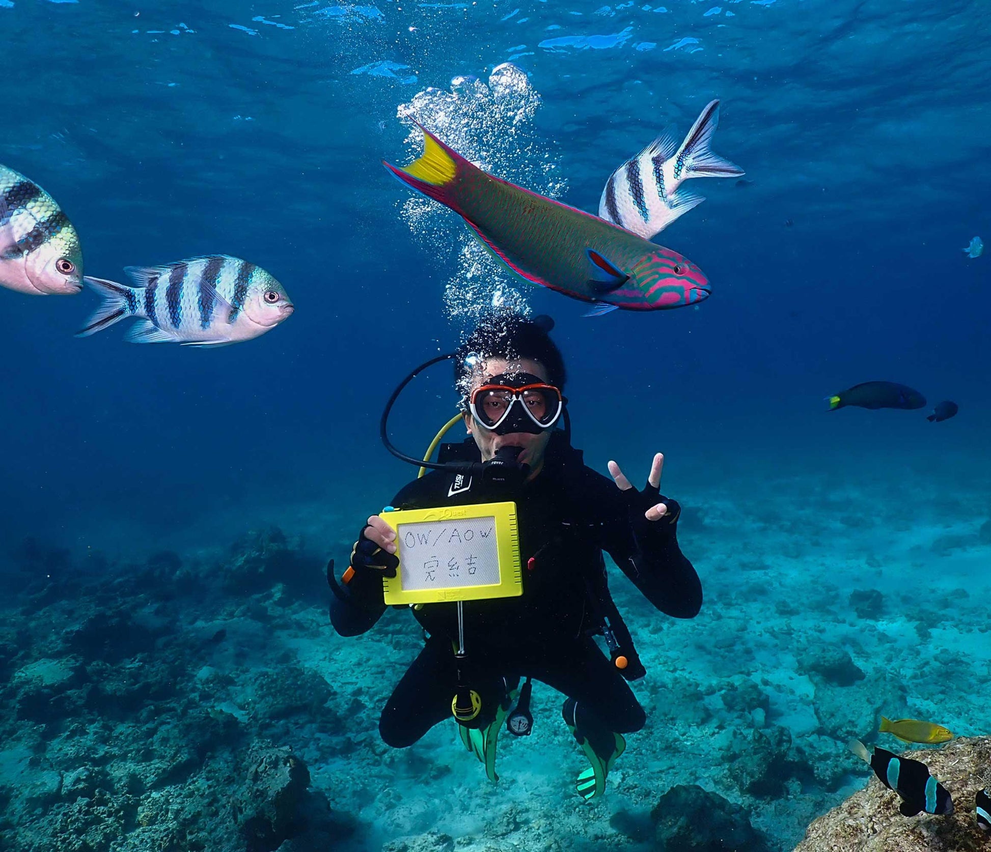 PADI Open Water 開放水域潛水員課程 - DayDayGoodDays