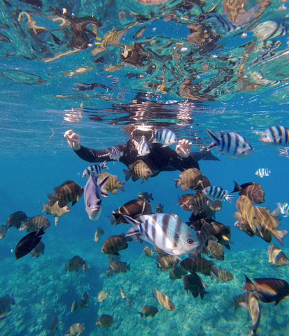 SNORKELING 沖繩浮潛 - 恩納藍洞 / 包括船費 - DayDayGoodDays