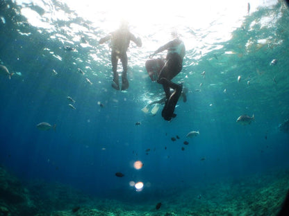 SNORKELING 沖繩浮潛 - 恩納藍洞 / 包括船費 - DayDayGoodDays