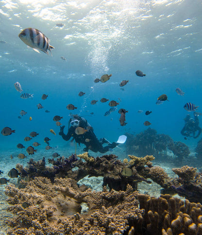 Fun Dive [2 or 3 Dives] - Onna Blue Cave / Boat fee Included