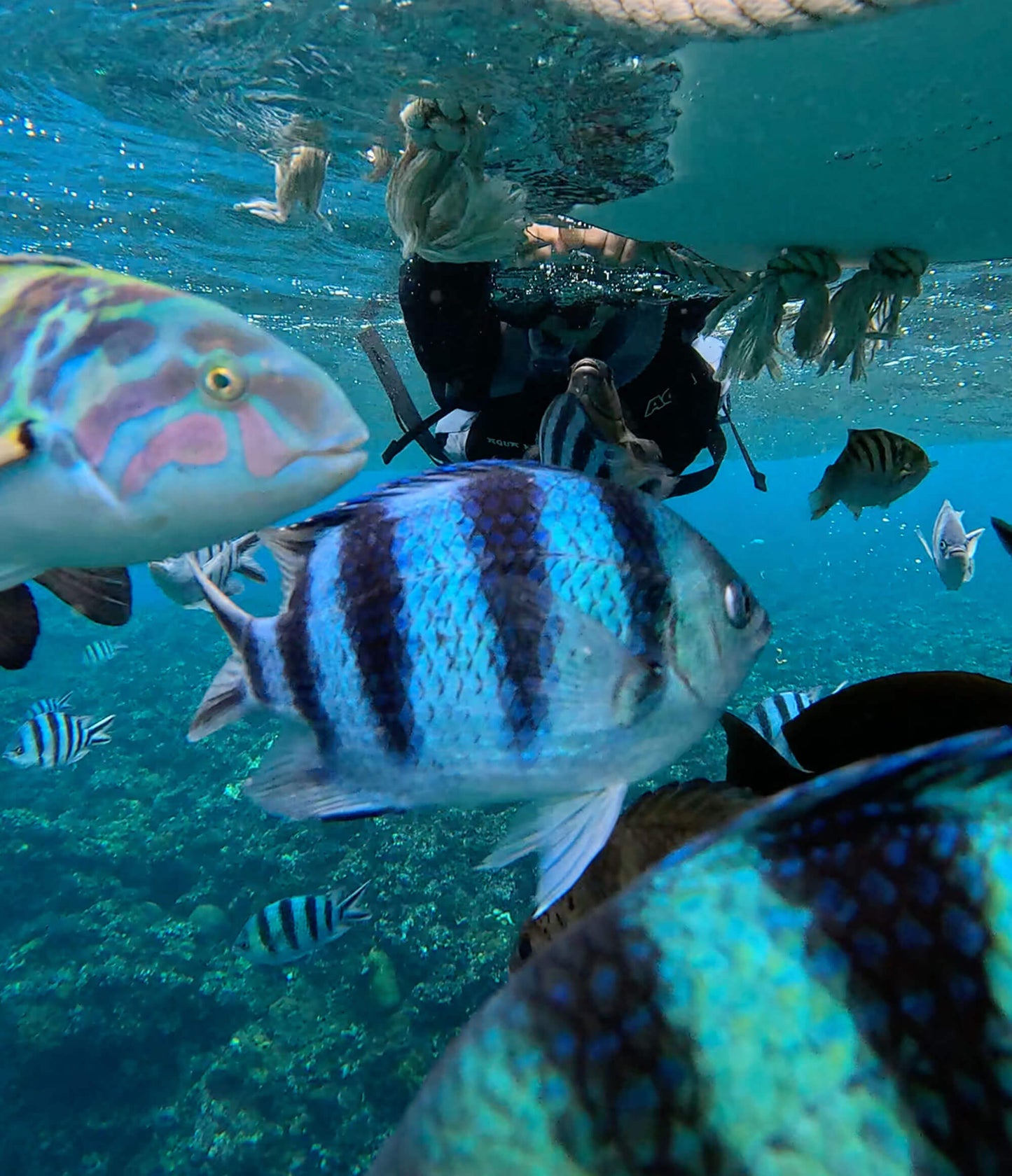 SNORKELING 沖繩浮潛 - 讀谷伊南 / 包括船費