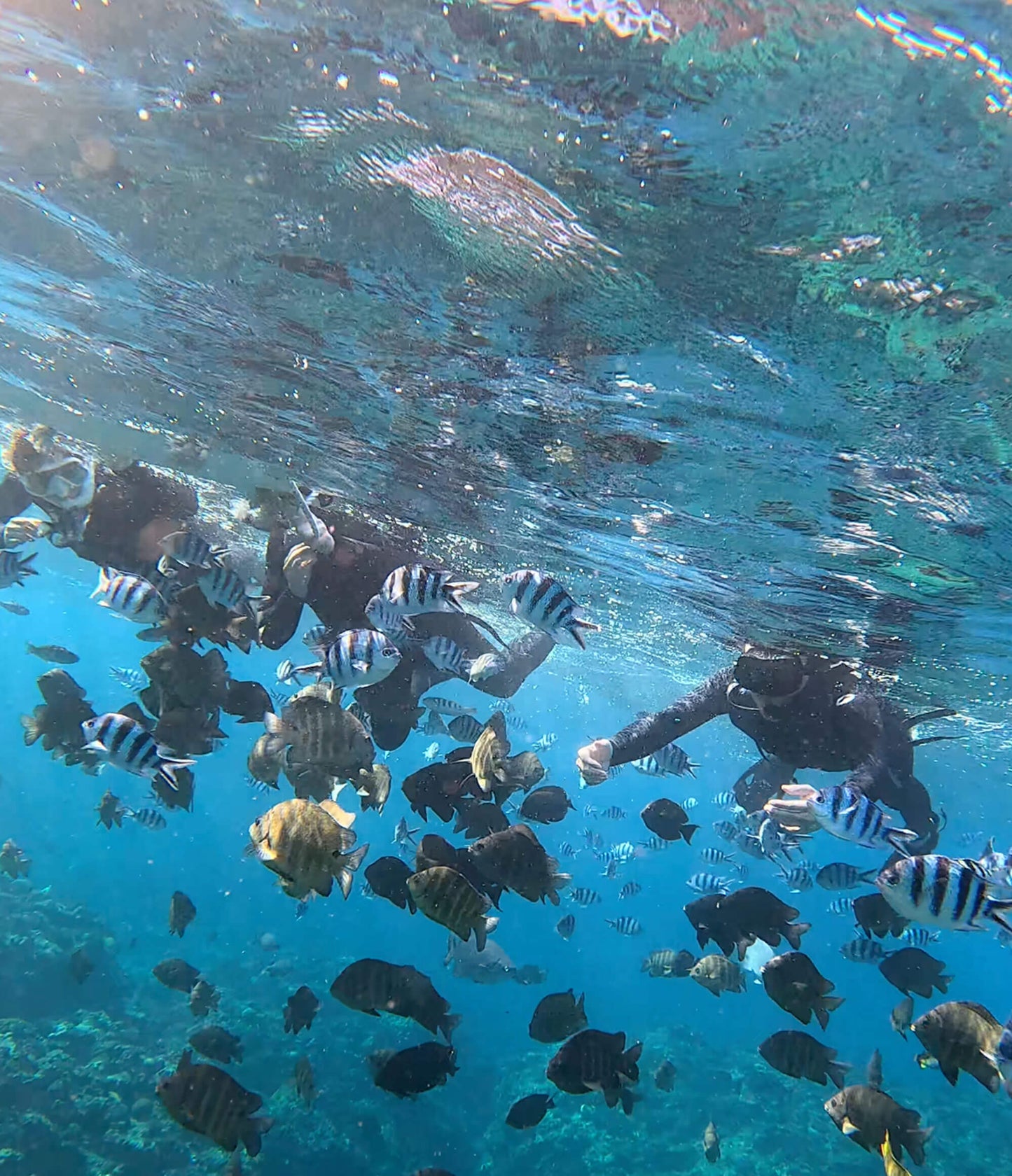 SNORKELING 沖繩浮潛 - 讀谷伊南 / 包括船費