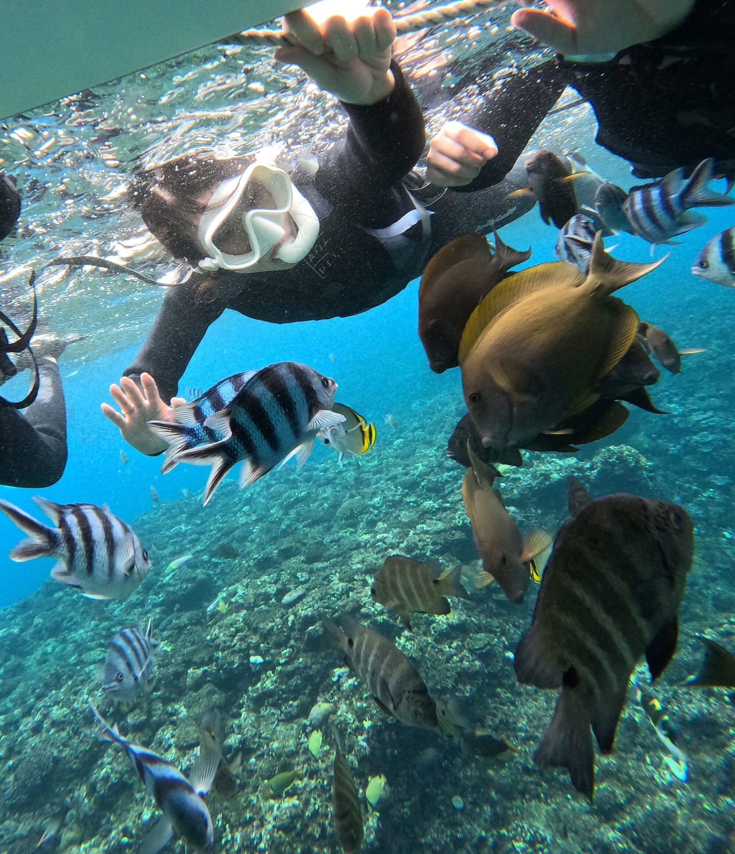 SNORKELING 沖繩浮潛 - 讀谷伊南 / 包括船費