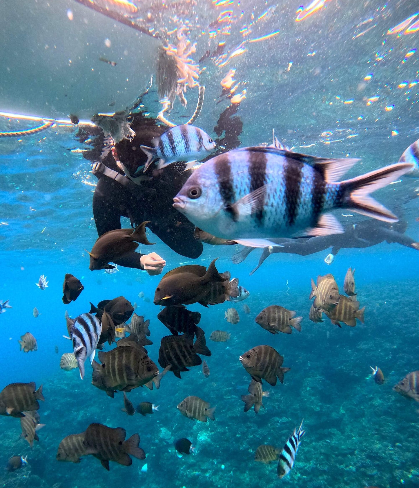 SNORKELING 沖繩浮潛 - 讀谷伊南 / 包括船費