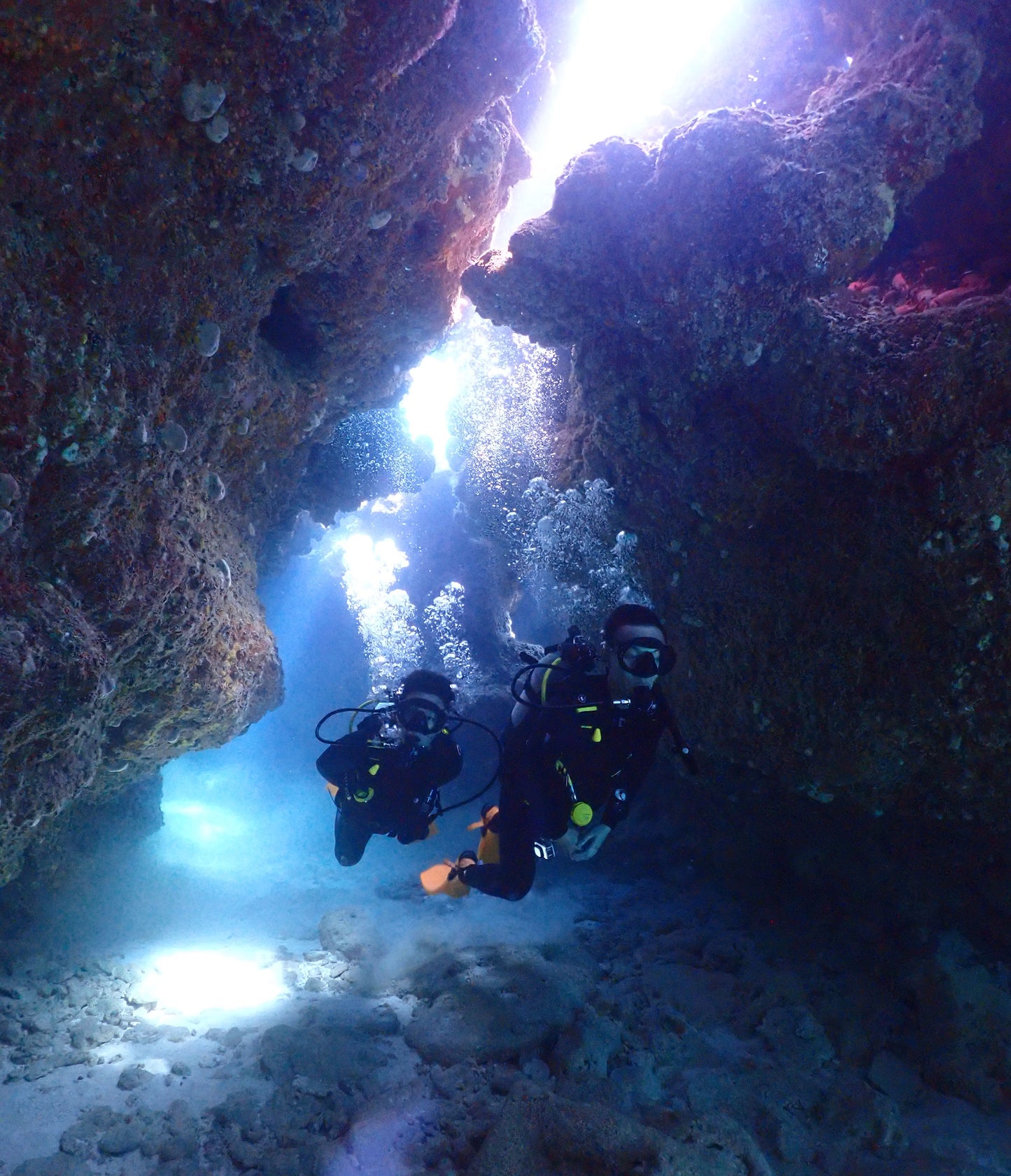 FUN DIVE 持証潛水[3潛]  - 慶良間群島