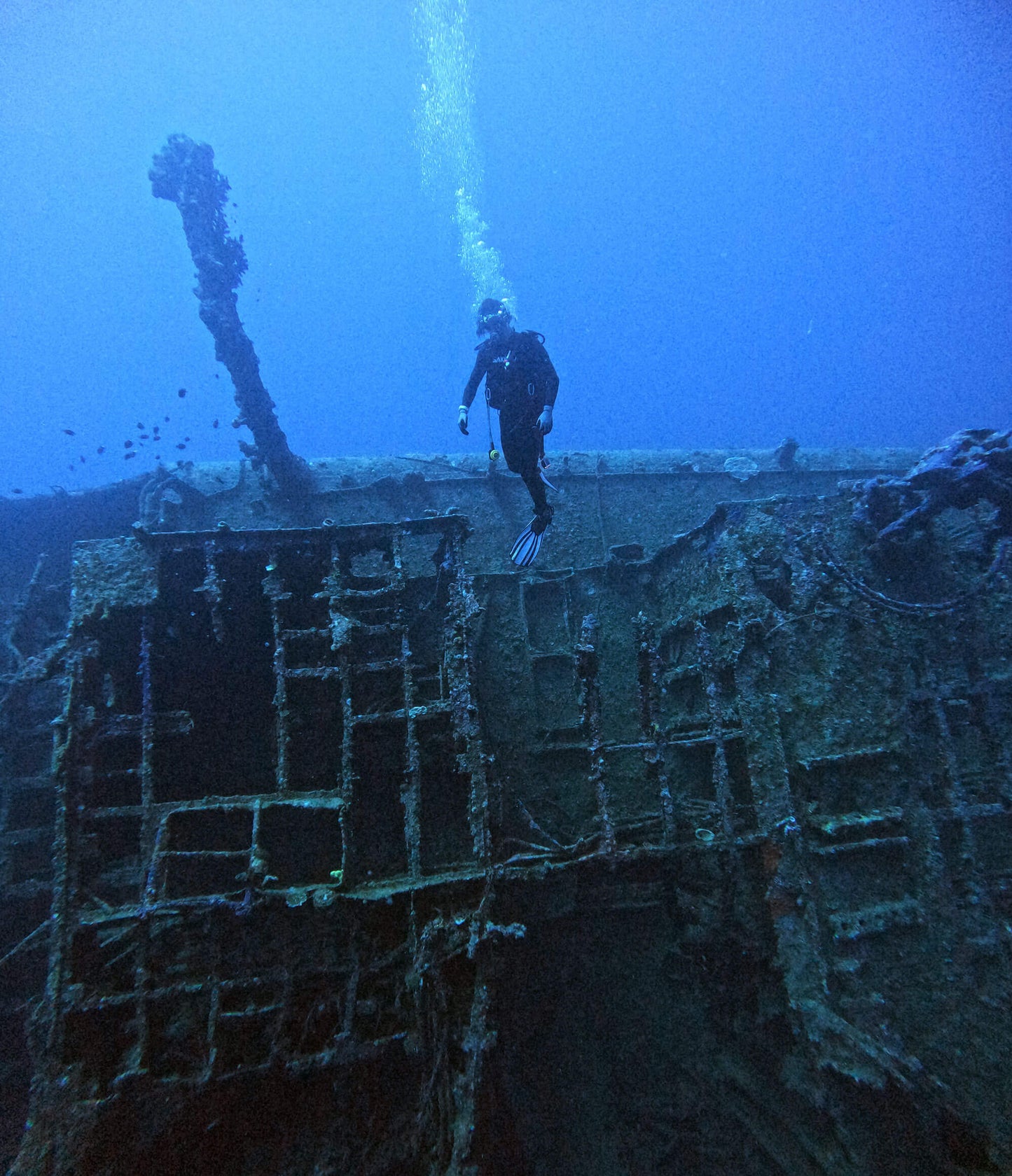 PADI ディープダイバー ® スペシャルティ・コース