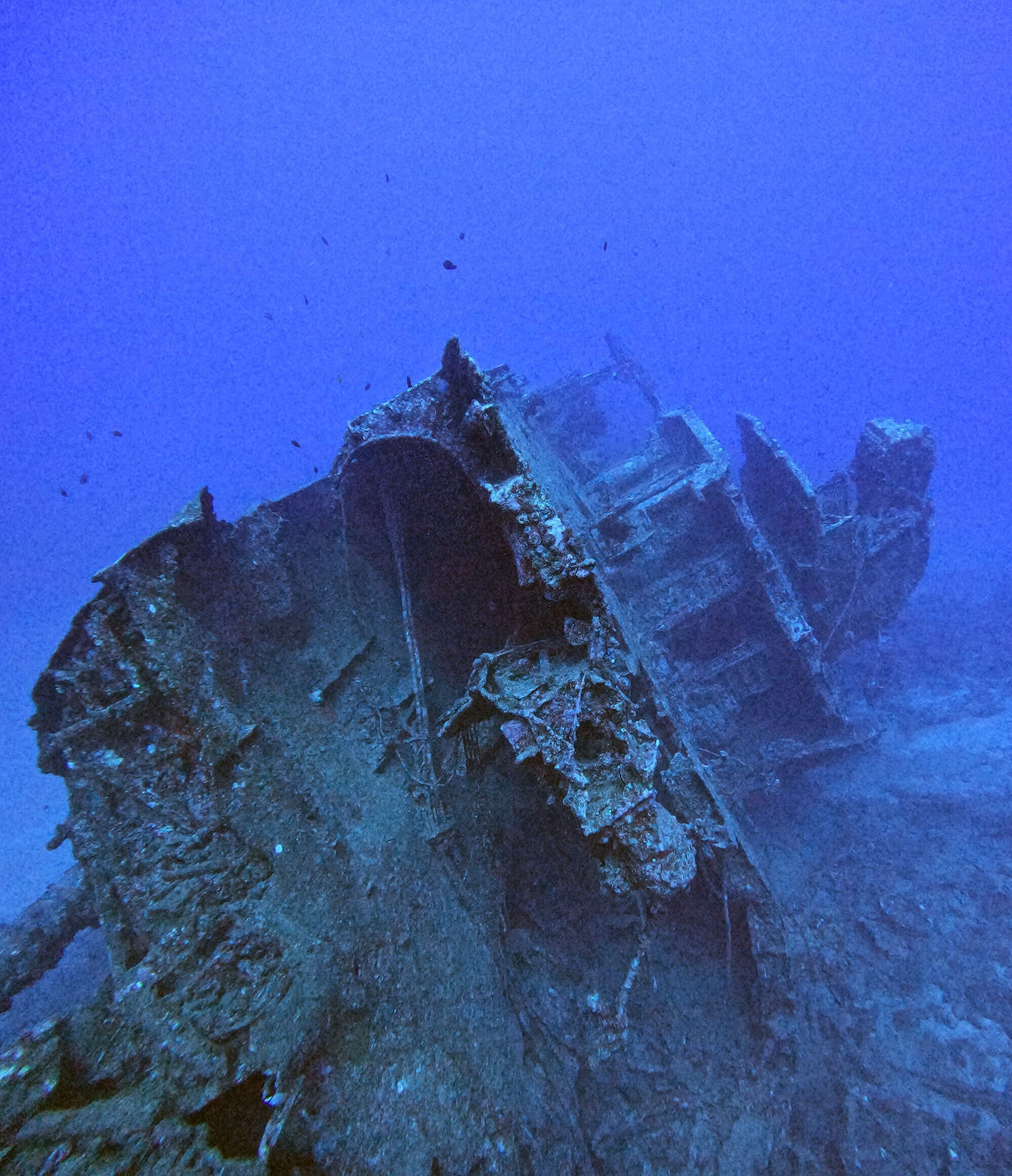 PADI ディープダイバー ® スペシャルティ・コース