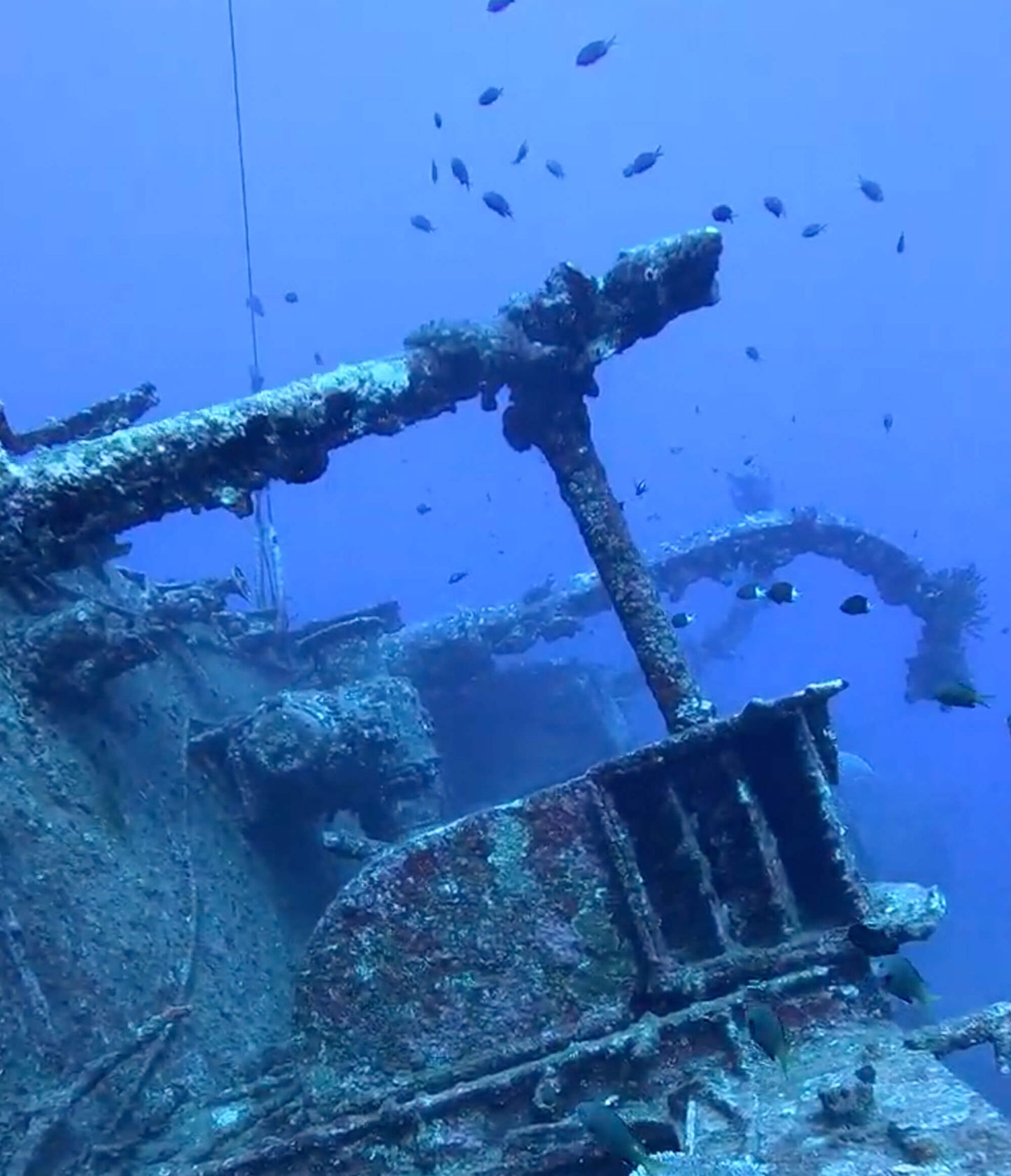 PADI ディープダイバー ® スペシャルティ・コース