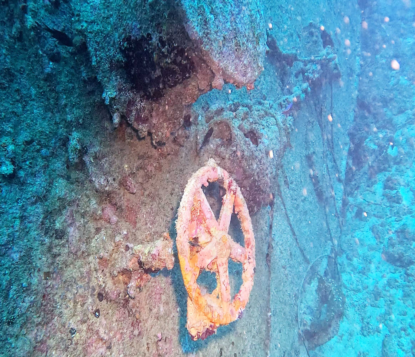 PADI ディープダイバー ® スペシャルティ・コース